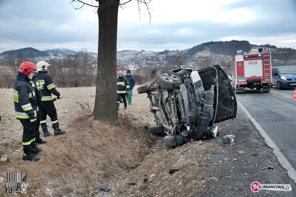 Rów i drzewo - zdjęcie 2