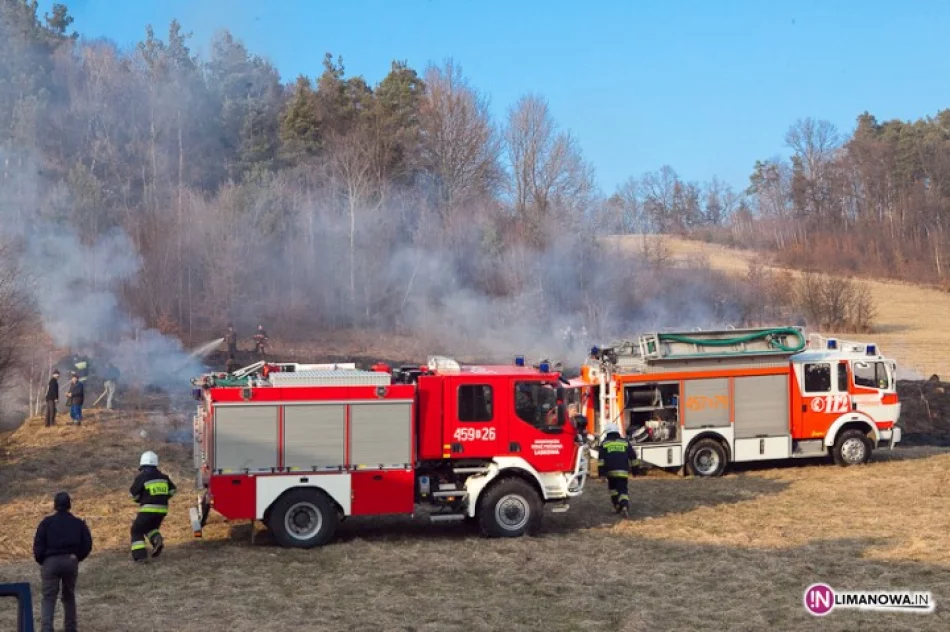 Groźne pożary - zdjęcie 2