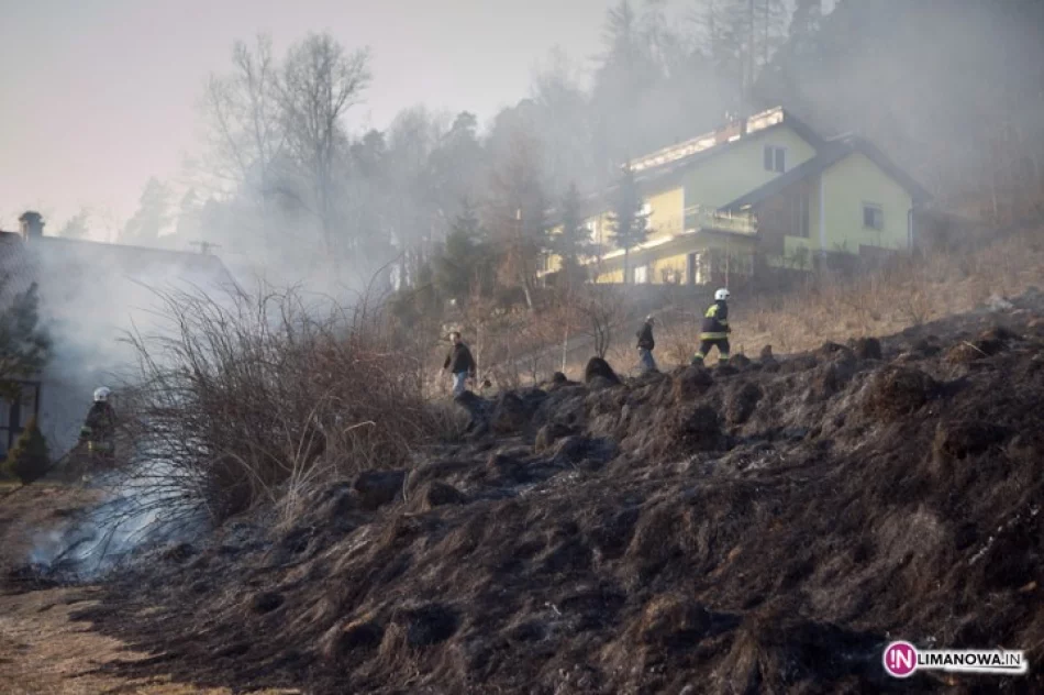 Groźne pożary - zdjęcie 4
