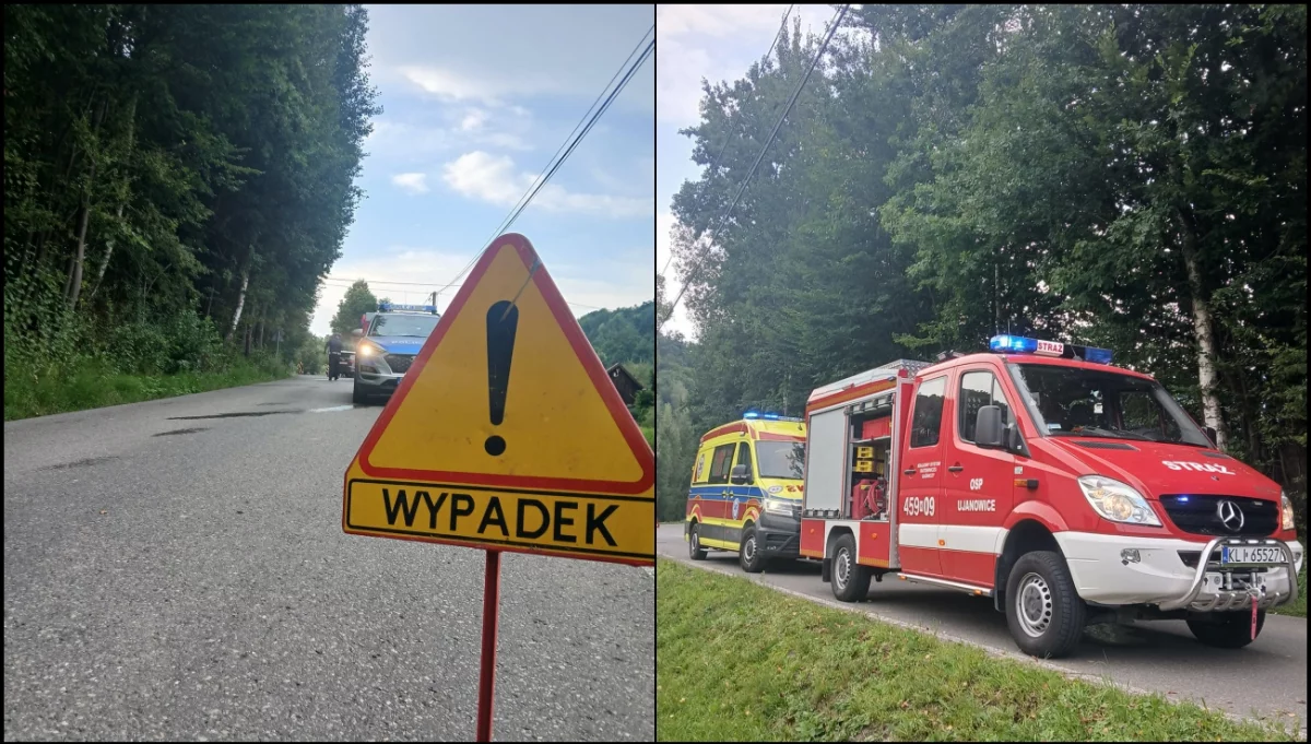 Służby na miejscu kolizji w Sechnej/fot.: OSP Ujanowice