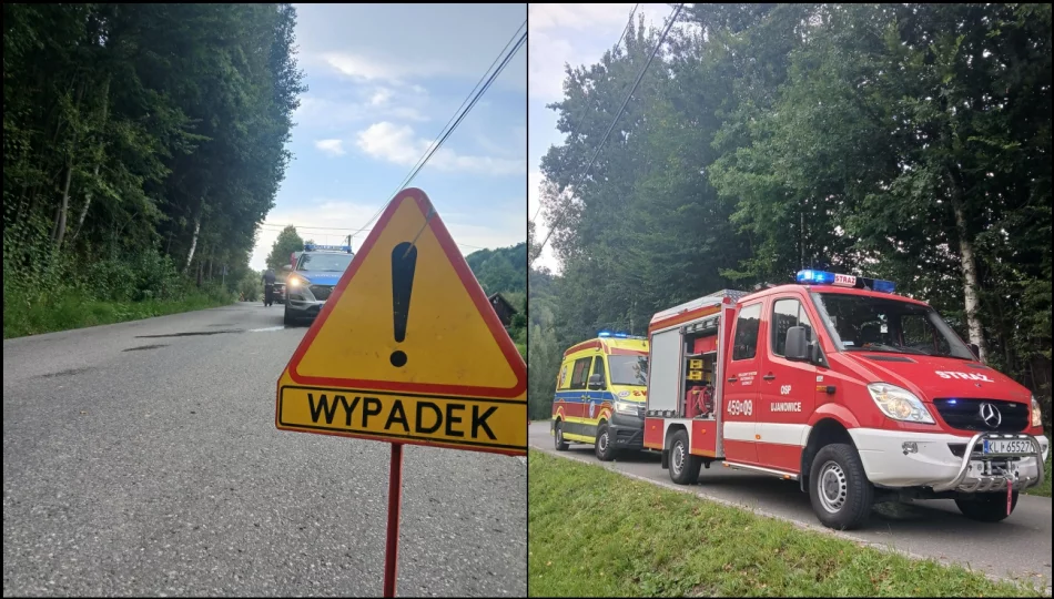 Kolizja dwóch pojazdów. Sprawca pouczony  - zdjęcie 1