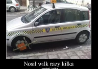 Blokada na samochodzie... straży miejskiej - zdjęcie główne