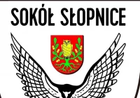 Sokół Słopnice zamyka czwartoligową tabelę - zdjęcie główne