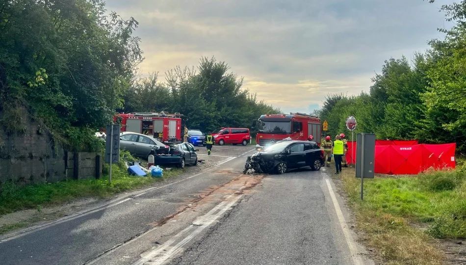 64-latka z Limanowszczyzny zginęła, rannych 10 osób - zdjęcie 1