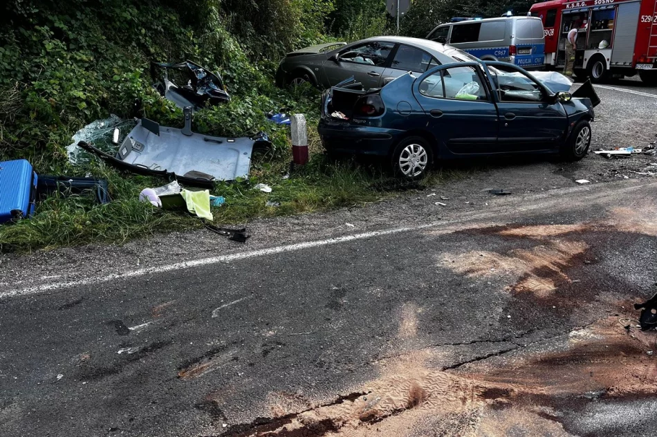 64-latka z Limanowszczyzny zginęła, rannych 10 osób - zdjęcie 3