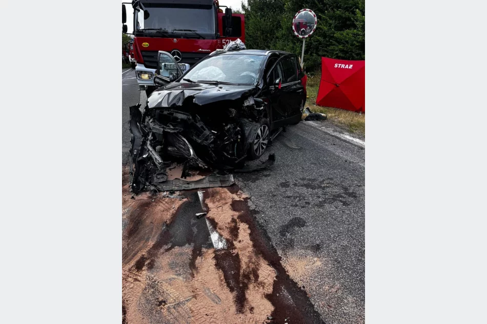 64-latka z Limanowszczyzny zginęła, rannych 10 osób - zdjęcie 4