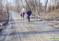 Zamiast drogi jedno błoto - zdjęcie główne