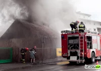 Chciała wracać na zgliszcza - zdjęcie główne