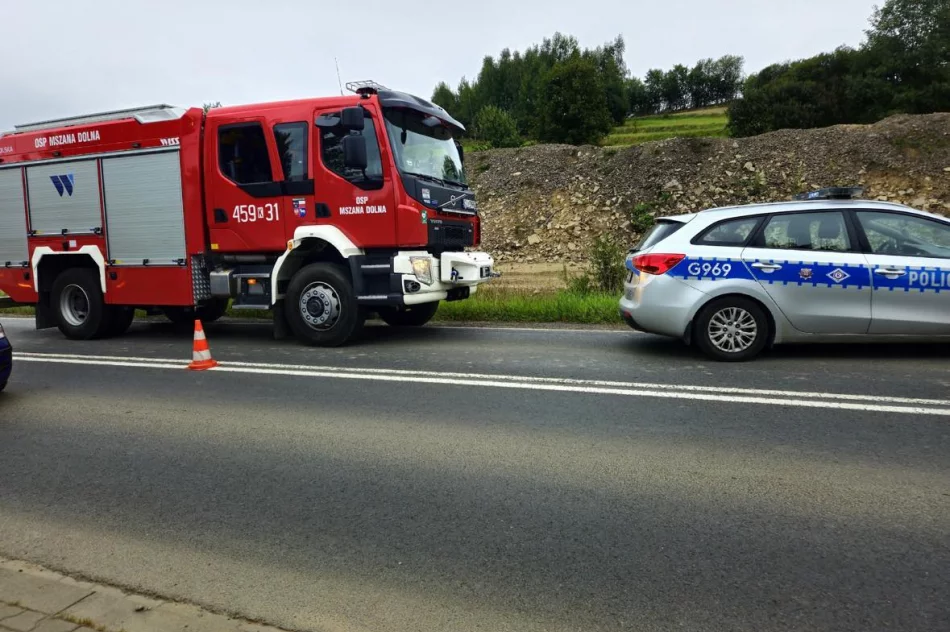 Dwie osoby trafiły do szpitala, droga już przejezdna - zdjęcie 2
