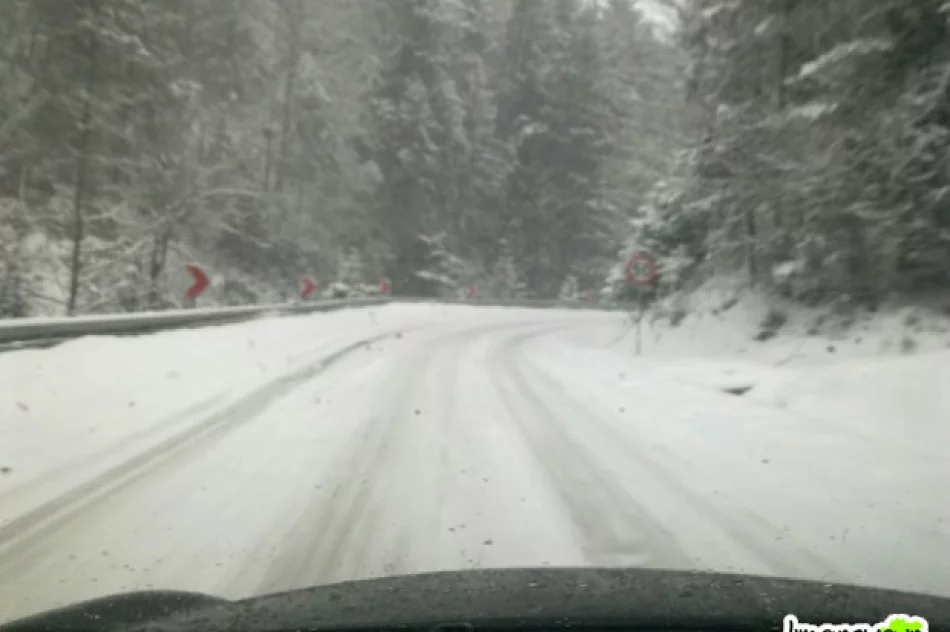 Ślisko na drogach. Wypadek w Strzeszycach - zdjęcie 3