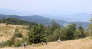 Jubileuszowy Złaz na Mogielicy: 25 lat odkrywania "królowej" Beskidu Wyspowego - zdjęcie 3