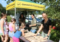 Piknik w parku narodowym przyciągnął tłumy - zdjęcie główne