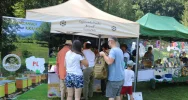 Piknik w parku narodowym przyciągnął tłumy - zdjęcie 2