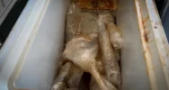 Zlikwidowano największe w historii Polski laboratorium do produkcji narkotyków (wideo) - zdjęcie 4