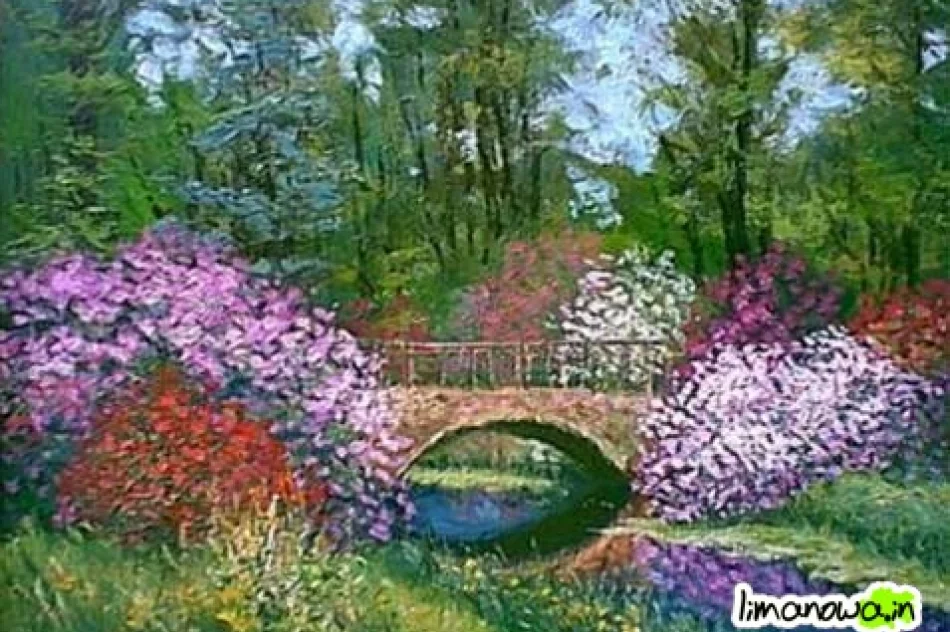 Maluje ustami i stopami - zdjęcie 2