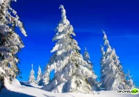 Czy byliście już na urodzinach u Jezusa? - zdjęcie główne