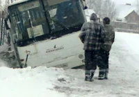 Autobus w rowie - zdjęcie główne