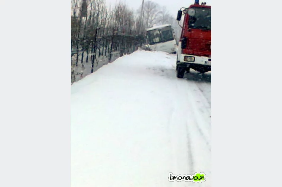 Autobus w rowie - zdjęcie 2