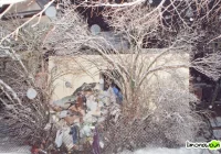 Tragiczny pożar. Nie żyje starsza kobieta - zdjęcie główne