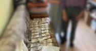Rozbili mafię "wnuczkową" - wyłudzili 1.5 mln zł - zdjęcie 4