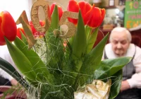 Odkryto gen znacząco wpływający na długowieczność - zdjęcie główne