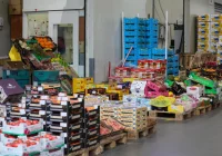 Krajowe owoce i warzywa nieco droższe niż przed rokiem - zdjęcie główne