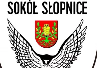 Obiecująca pierwsza połowa Sokoła. W drugiej strzelał już tylko Glinik. - zdjęcie główne