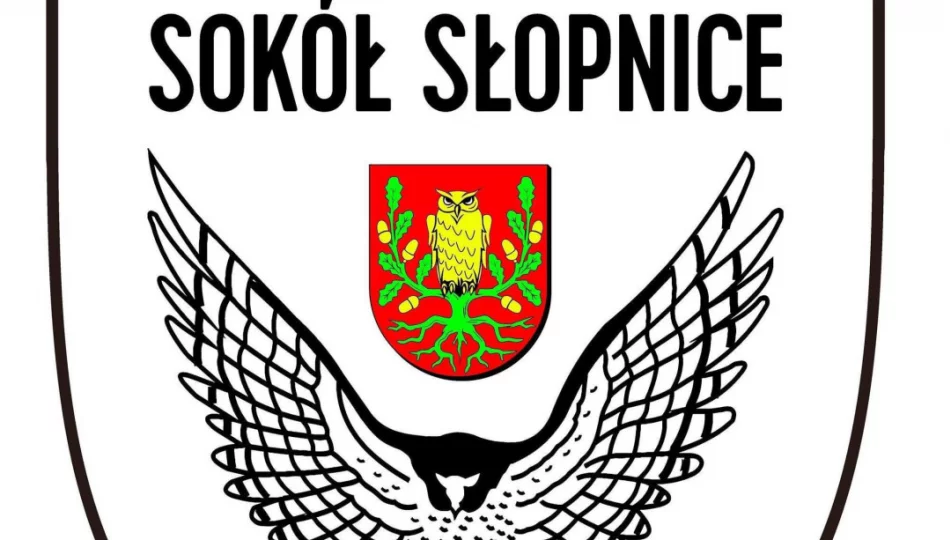 Obiecująca pierwsza połowa Sokoła. W drugiej strzelał już tylko Glinik. - zdjęcie 1