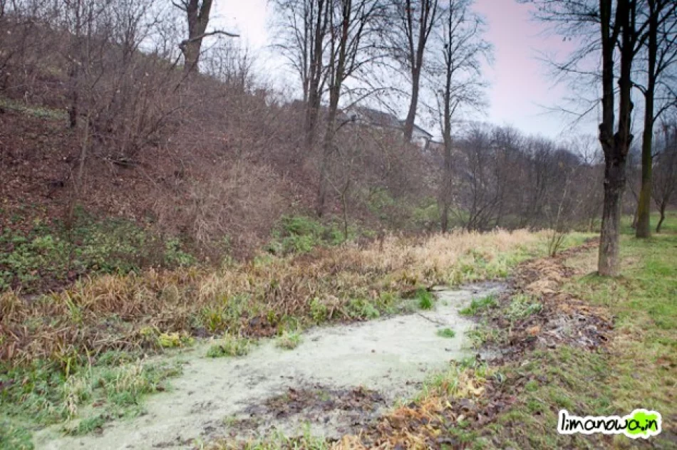 Brak słów (wideo) - zdjęcie 2