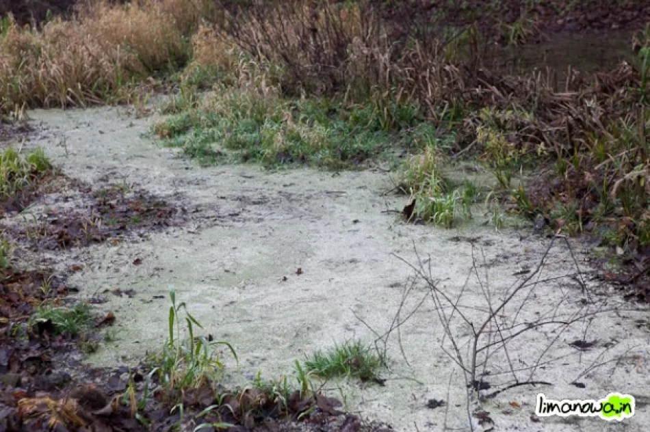 Brak słów (wideo) - zdjęcie 4