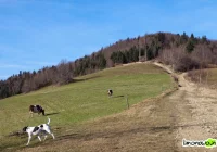 Kontrowersyjna lokalizacja wieży - zdjęcie główne