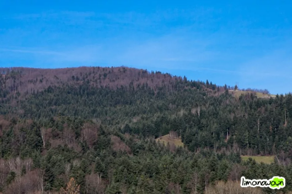 Kontrowersyjna lokalizacja wieży - zdjęcie 3