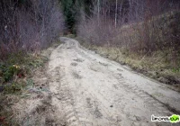 Pomylił teren budowy? - zdjęcie główne