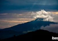 W minionym roku odeszli... - zdjęcie główne