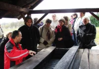 Warsztaty z przetwórstwa owoców - zdjęcie główne