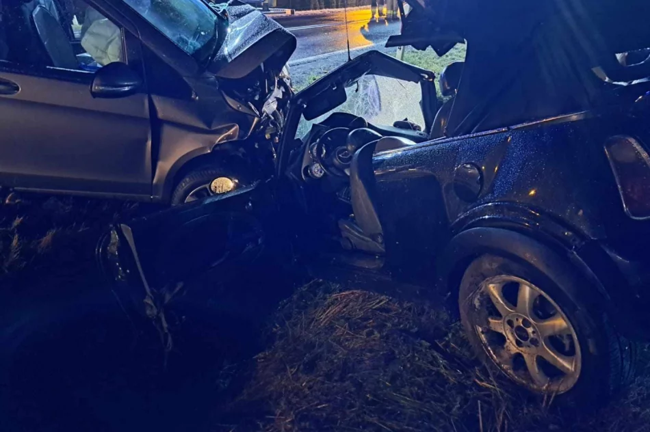 Nie żyje 18-latka, 7 osób w szpitalu - stan 3 jest ciężki (AKTUALIZACJA) - zdjęcie 5