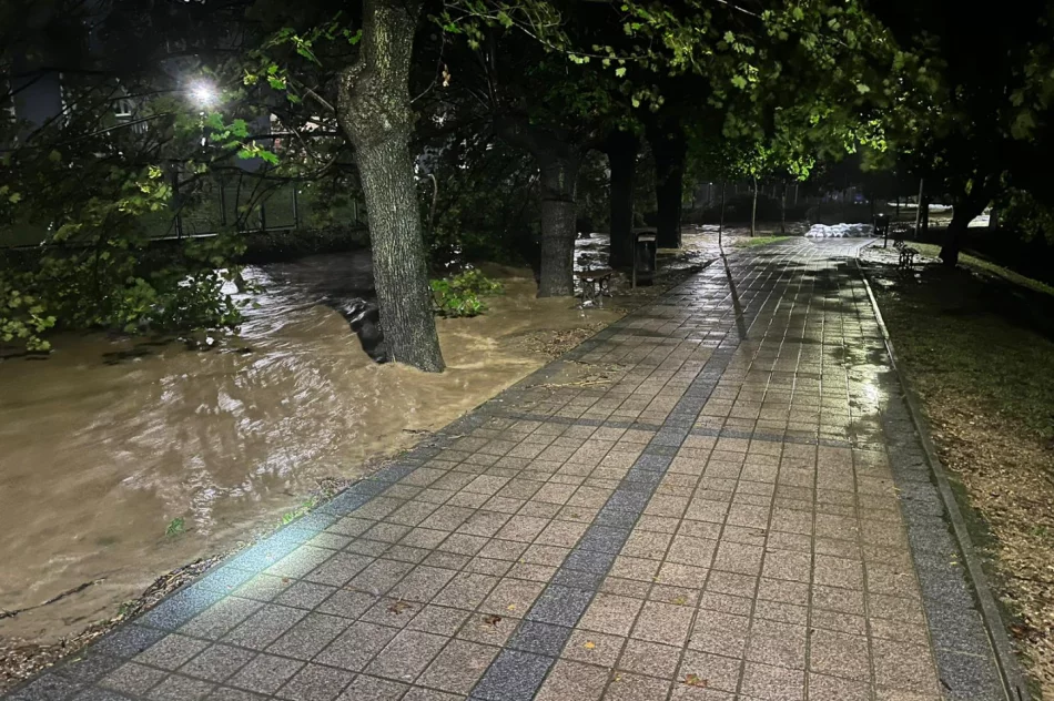 Opolskie: ewakuacja w Morowie i Głuchołazach z powodu zagrożenia powodziowego - zdjęcie 6