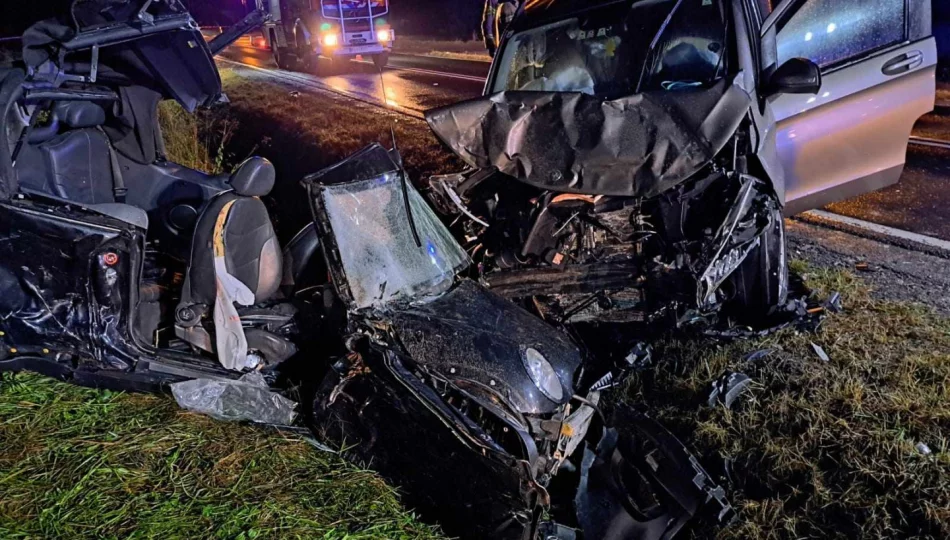 Nie żyje 18-latka, 7 osób w szpitalu - stan 3 jest ciężki (AKTUALIZACJA) - zdjęcie 1