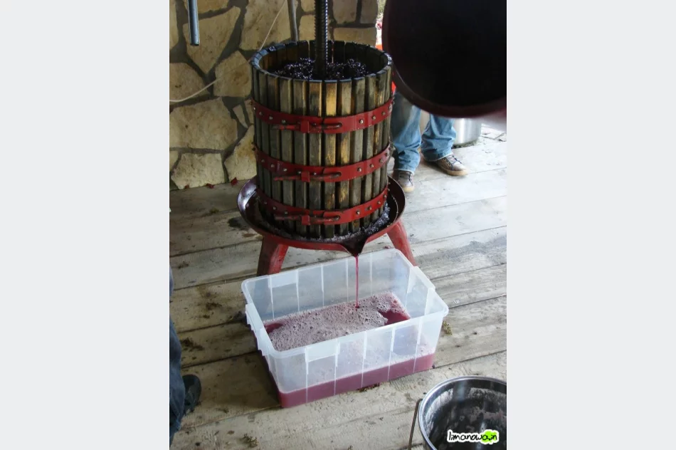 Warsztaty z produkcji wina - zdjęcie 2