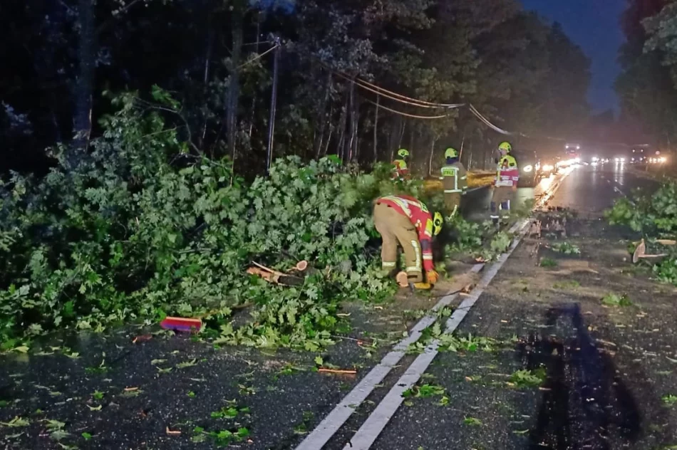Premier: sytuacja dramatyczna w wielu miejscach; pierwsza ofiara śmiertelna powodzi - zdjęcie 5