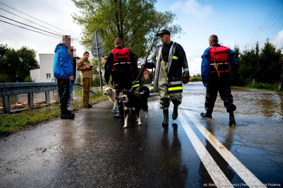 Dolnośląskie/ Straż pożarna: teraz już tylko ewakuujemy ludzi; inne działania na drugim planie - zdjęcie 12
