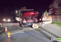 Samochód uderzył w... ciągnięte drzewa - zdjęcie główne