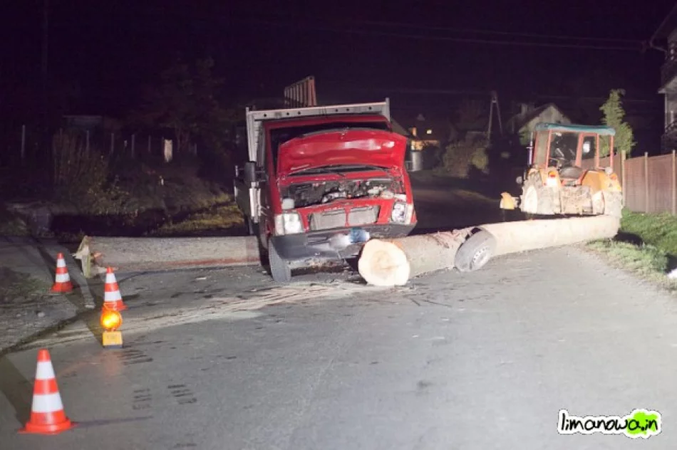 Samochód uderzył w... ciągnięte drzewa - zdjęcie 2