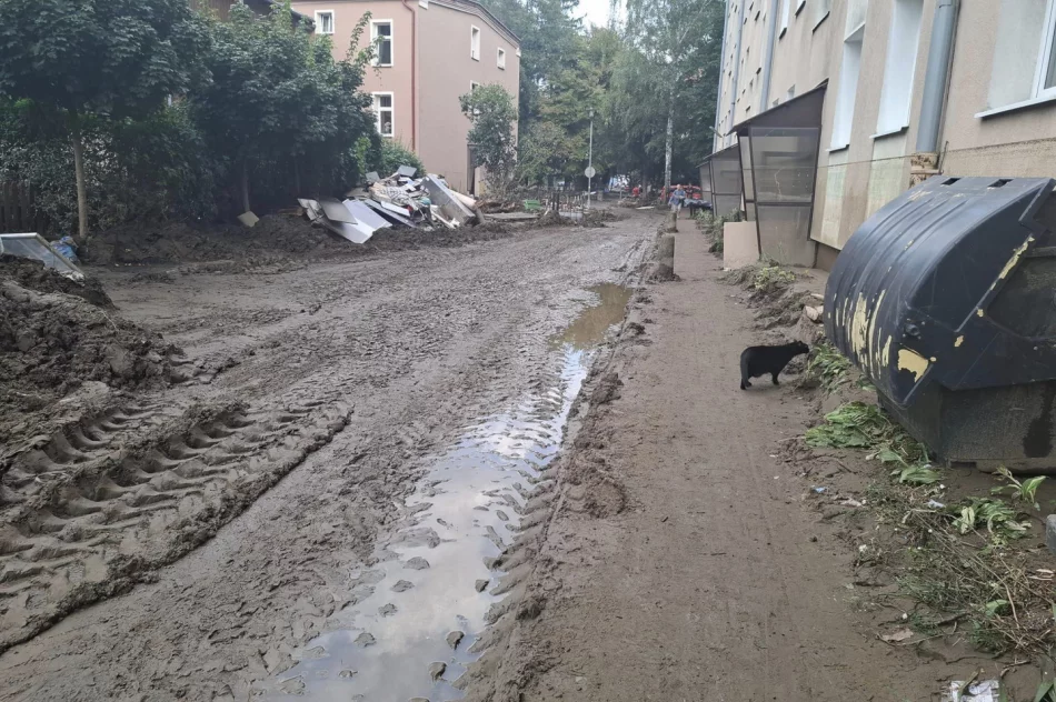 Strażacy z Limanowszczyzny niosą pomoc powodzianom w Głuchołazach (ZDJĘCIA) - zdjęcie 17