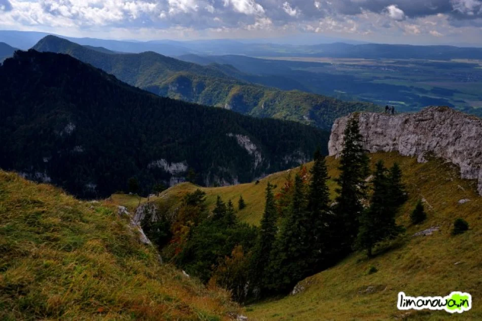 Zdolnych mamy poetów w Limanowej - zdjęcie 4