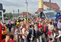 ​Odblask albo cytrynka… (ZDJECIA) - zdjęcie główne