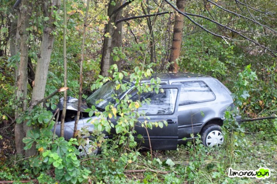 Samochód wyleciał z drogi i zatrzymał się na drzewach - zdjęcie 2