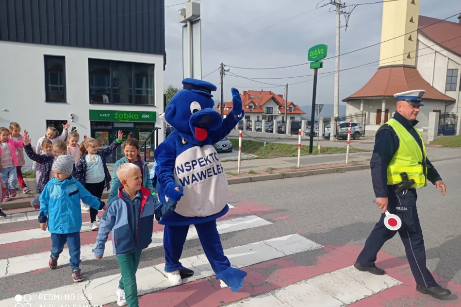 ​Odblask albo cytrynka… (ZDJECIA) - zdjęcie 17