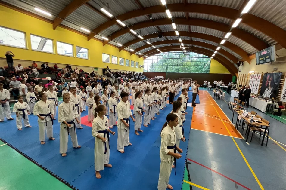 Udany wyjazd limanowskich karateków do Rybnika - zdjęcie 9