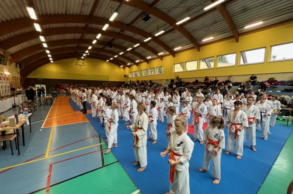 Udany wyjazd limanowskich karateków do Rybnika - zdjęcie 10